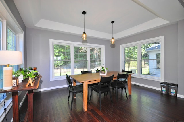 dining area with dark wood-type flooring and a raised ceiling