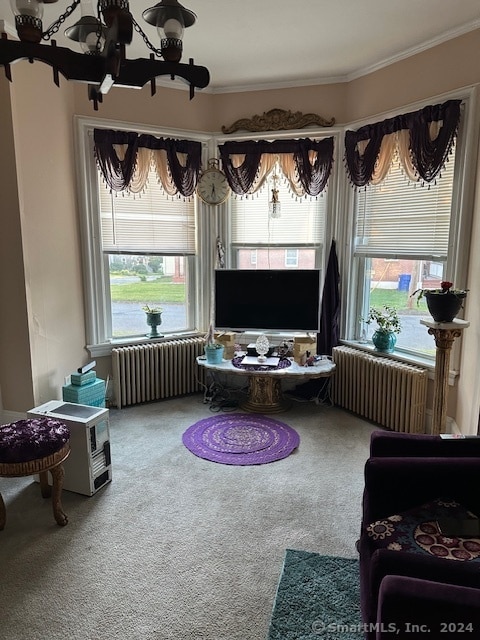 sitting room with radiator, carpet, and plenty of natural light