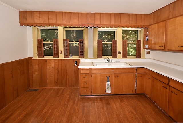 kitchen featuring wooden walls, sink, and dark hardwood / wood-style flooring