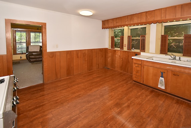 interior space with sink, white stove, dark hardwood / wood-style floors, and wood walls