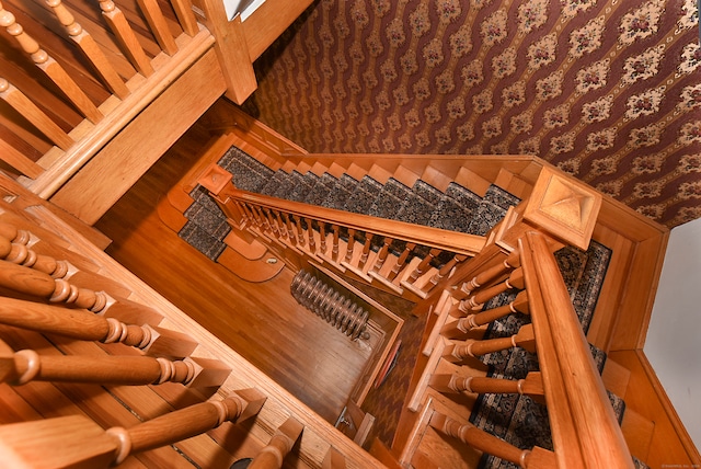 wine area featuring wood-type flooring