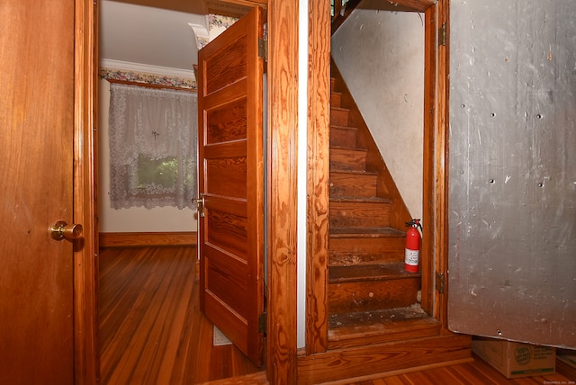 stairs featuring ornamental molding and hardwood / wood-style flooring