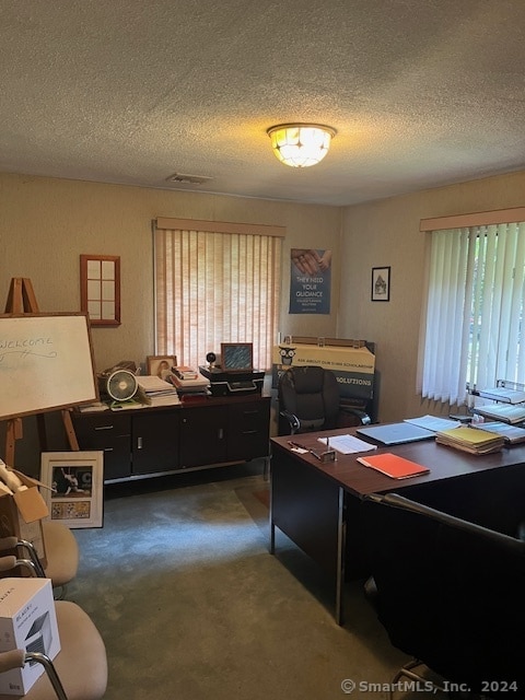 carpeted office space featuring a textured ceiling and a healthy amount of sunlight