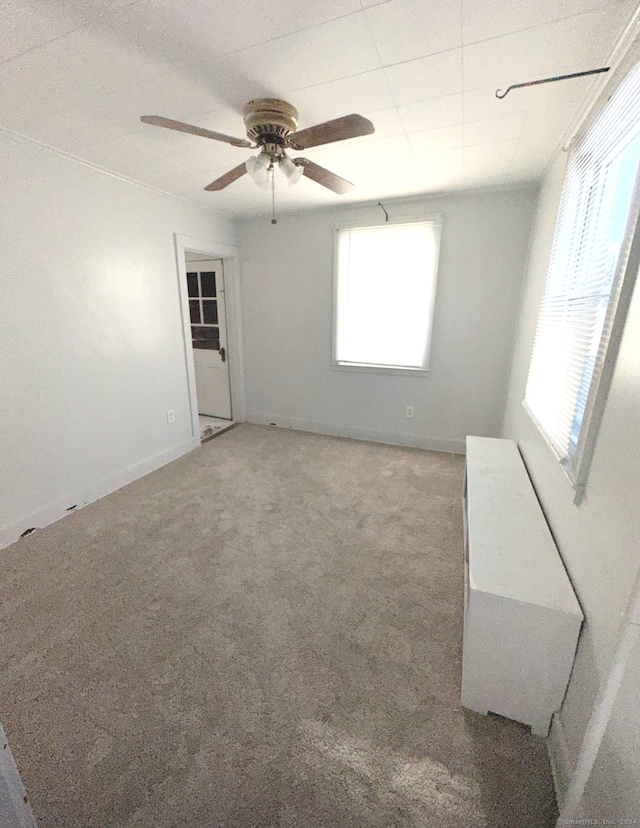 unfurnished room with ceiling fan and carpet