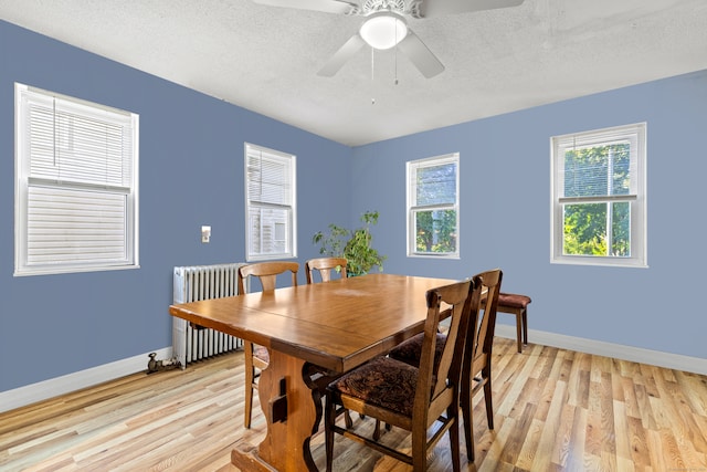 dining room featuring plenty of natural light, light wood-type flooring, radiator heating unit, and a textured ceiling