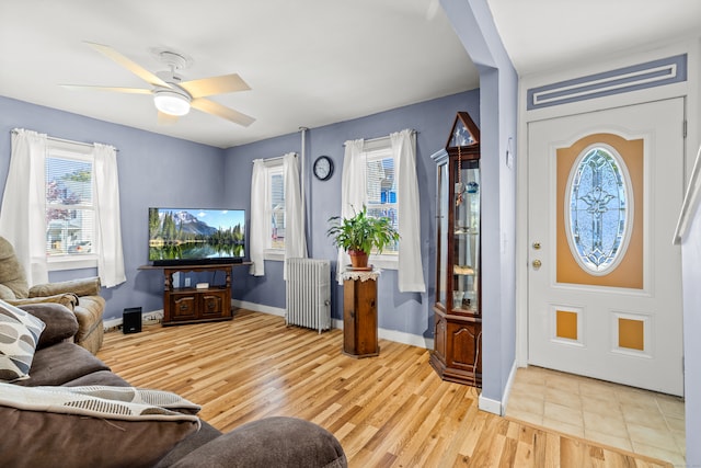 living room featuring a wealth of natural light, ceiling fan, radiator, and light hardwood / wood-style flooring