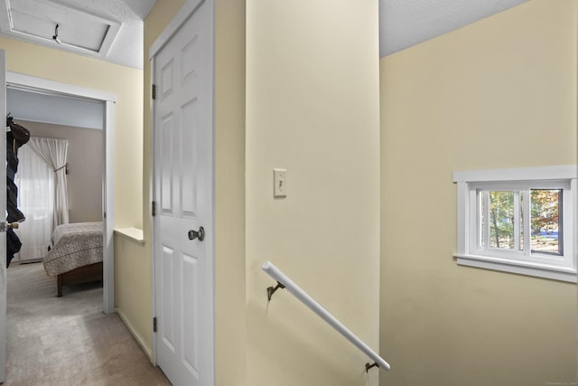 hall with carpet flooring and a textured ceiling