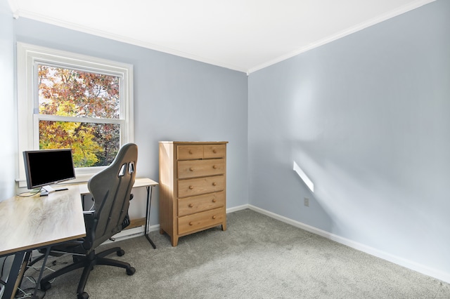 carpeted office space with ornamental molding