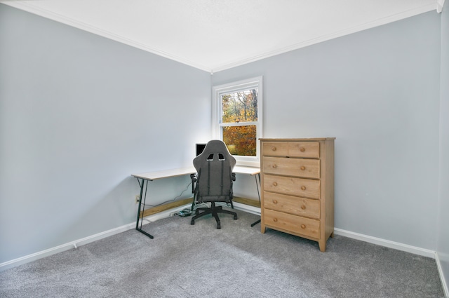 office with carpet and ornamental molding