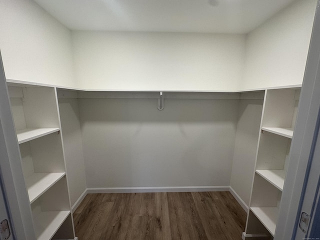 spacious closet with dark hardwood / wood-style flooring