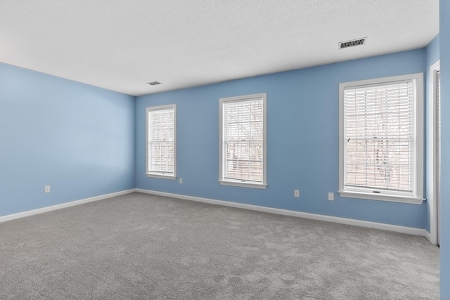 empty room with light colored carpet, a textured ceiling, and a healthy amount of sunlight