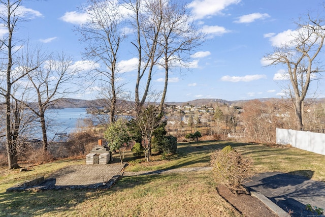 view of yard with a patio area and a mountain view