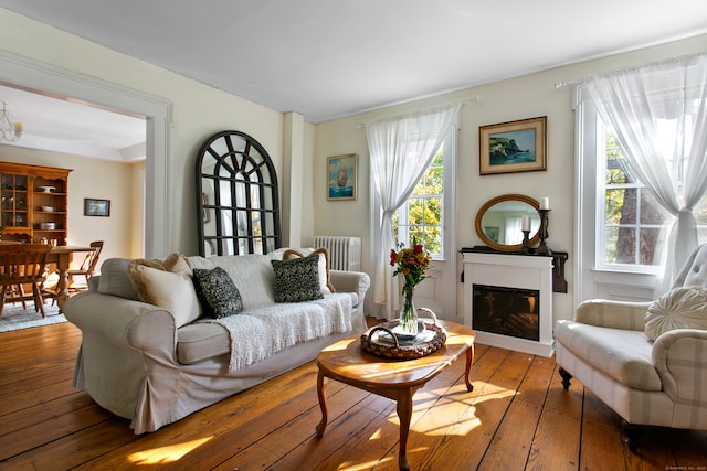 living room featuring hardwood / wood-style floors, radiator heating unit, and plenty of natural light