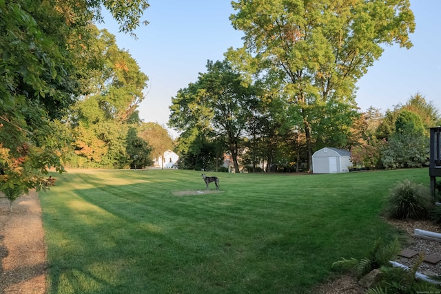 view of yard featuring a shed