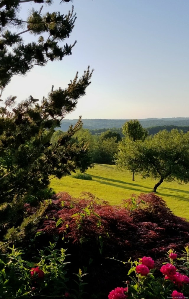 view of home's community with a lawn