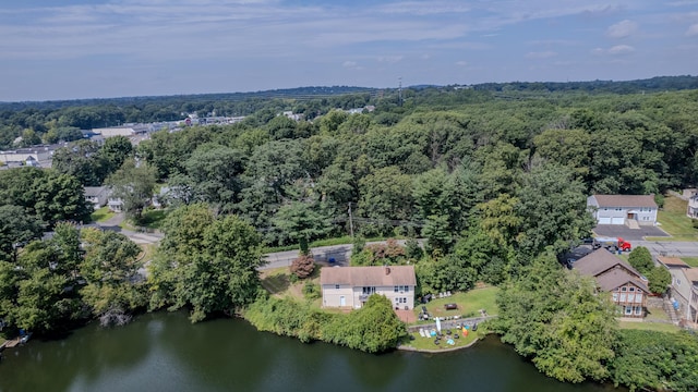 bird's eye view with a water view and a wooded view