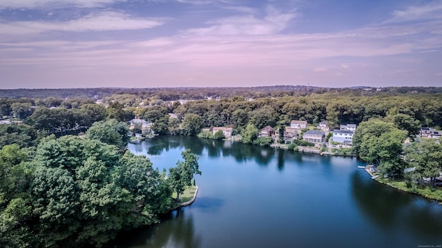 aerial view at dusk featuring a water view and a view of trees