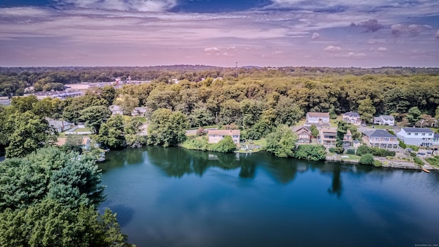 birds eye view of property featuring a water view and a wooded view