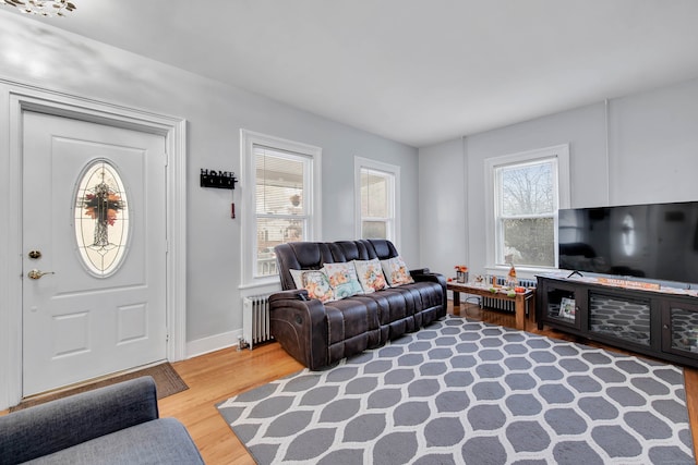 living room with radiator and wood-type flooring