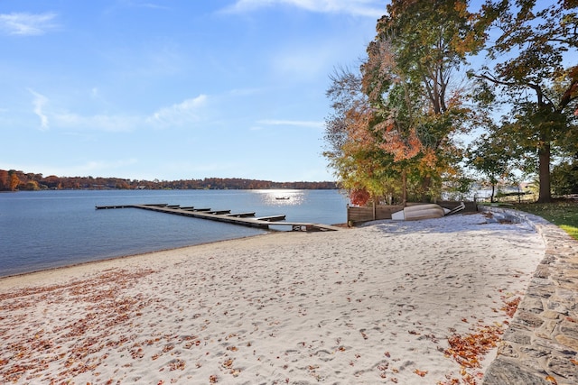 dock area with a water view