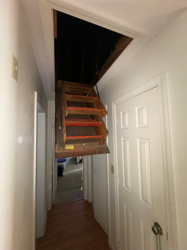 hallway with hardwood / wood-style floors