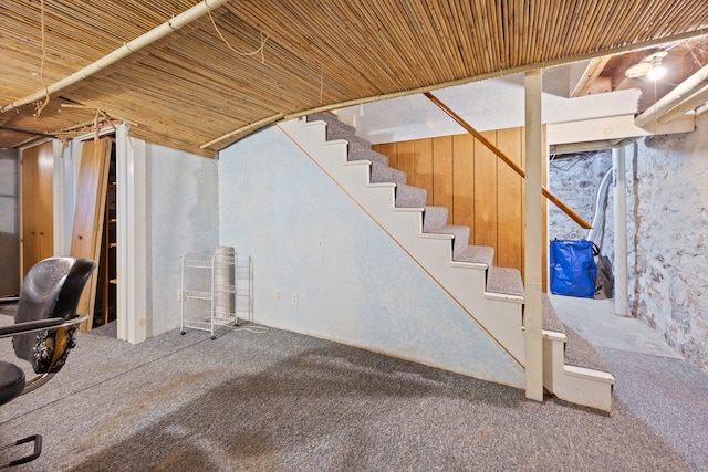 basement with carpet flooring