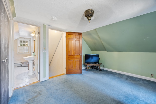 additional living space featuring lofted ceiling, a textured ceiling, and carpet floors