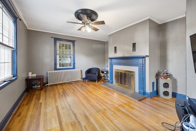 living room featuring ornamental molding, a healthy amount of sunlight, radiator, and light wood-type flooring