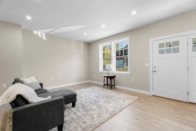 living room featuring light hardwood / wood-style flooring