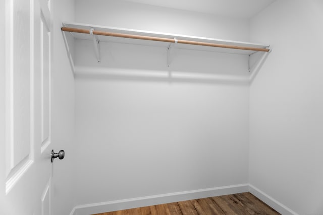 spacious closet featuring wood-type flooring