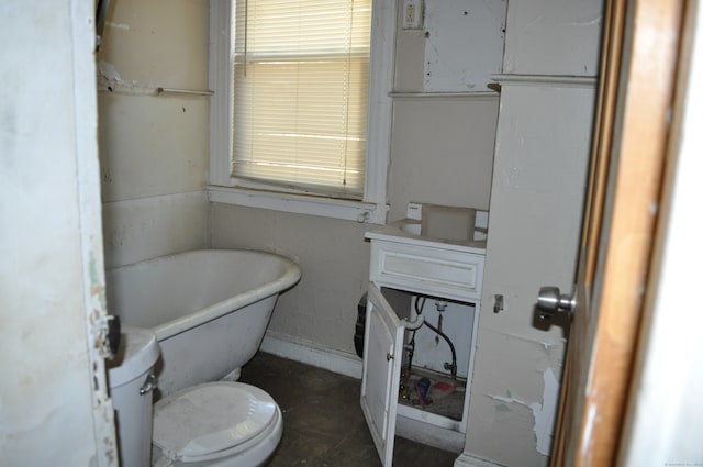 bathroom with toilet, vanity, and a washtub