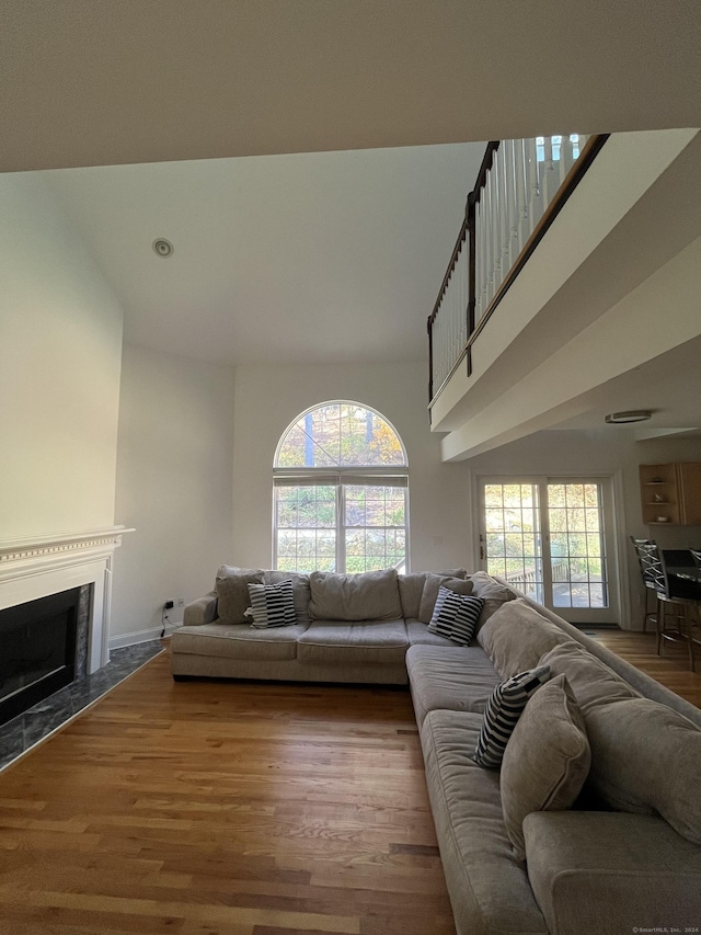 living room with a fireplace and wood-type flooring