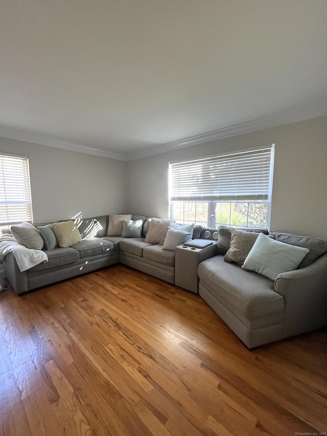 living room featuring a wealth of natural light, hardwood / wood-style floors, and ornamental molding