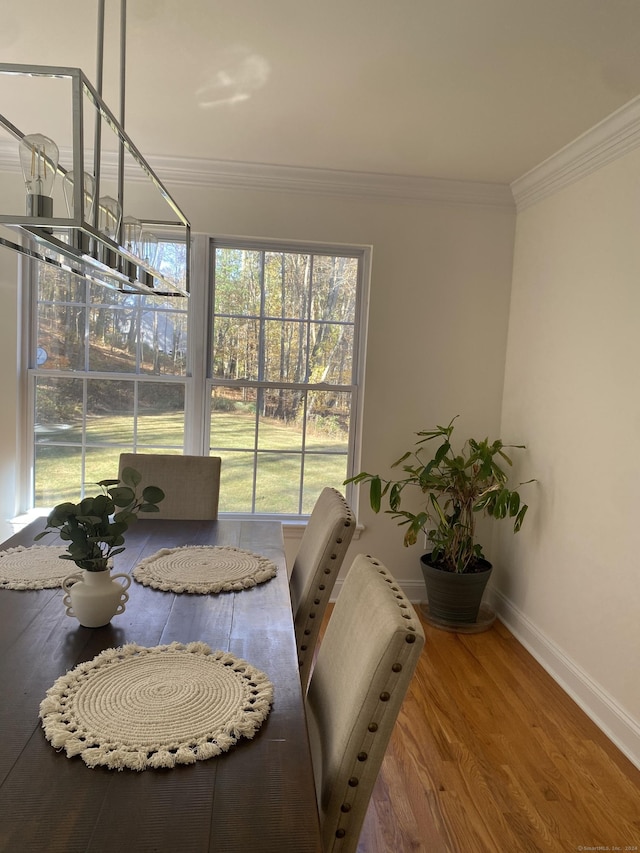 dining area featuring hardwood / wood-style floors and crown molding