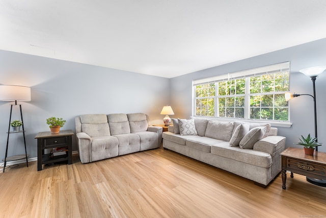 living room featuring light wood-type flooring