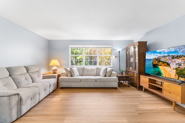 living room with light hardwood / wood-style flooring