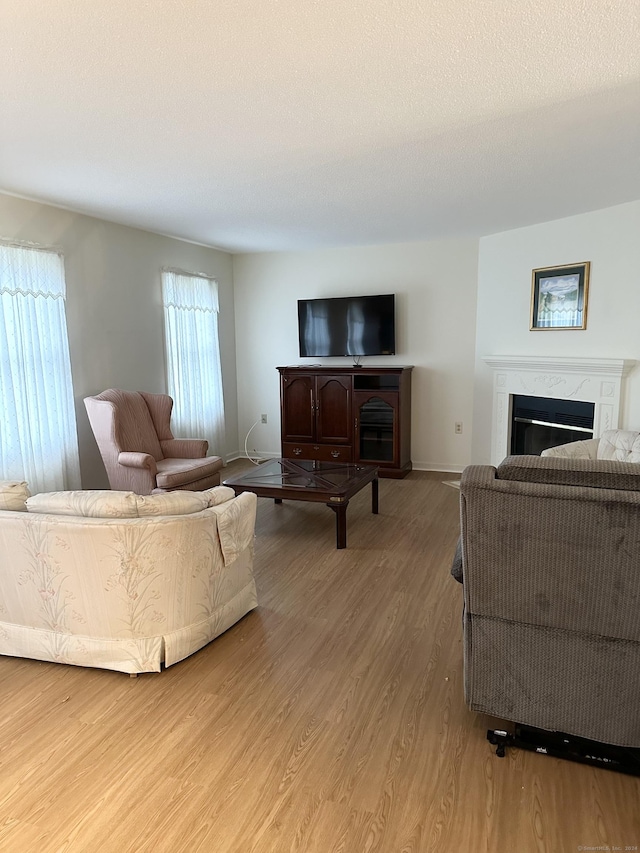 living room with a textured ceiling and hardwood / wood-style flooring