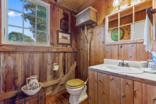 bathroom featuring vanity, toilet, and wood walls