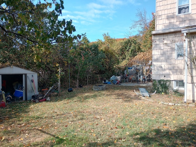 view of yard with a storage unit