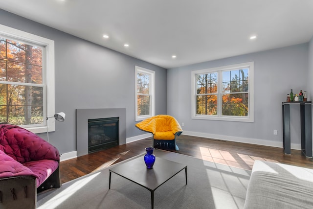 living room featuring wood-type flooring