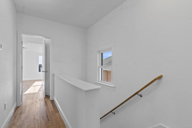 hall featuring hardwood / wood-style flooring