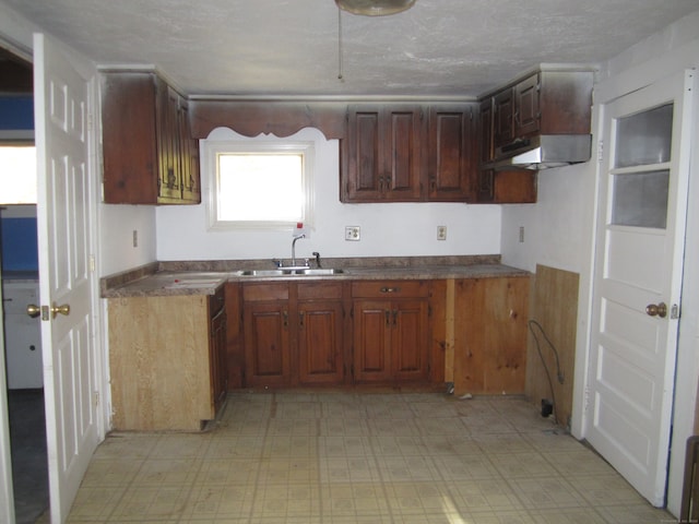 kitchen with a textured ceiling and sink