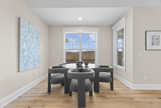 dining space featuring light hardwood / wood-style flooring