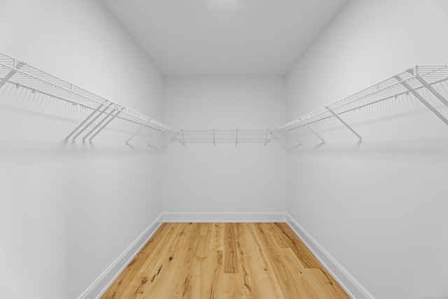 walk in closet with hardwood / wood-style flooring