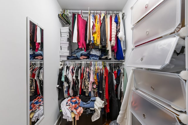 view of spacious closet