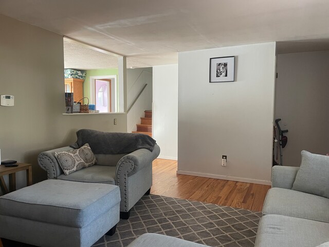 living room featuring wood-type flooring