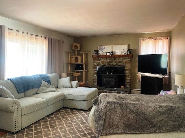 living room with a wood stove