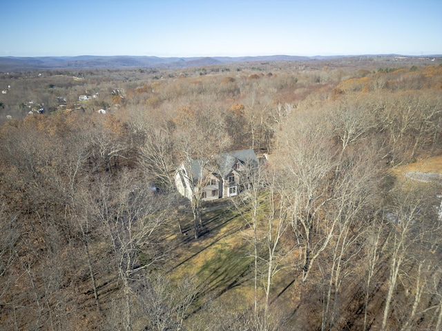 18 Eastern Ln, New Milford, CT 06776 - view of subject property featuring a heavily wooded area