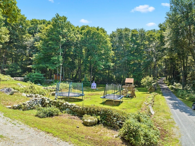 surrounding community with a trampoline, a playground, and a yard