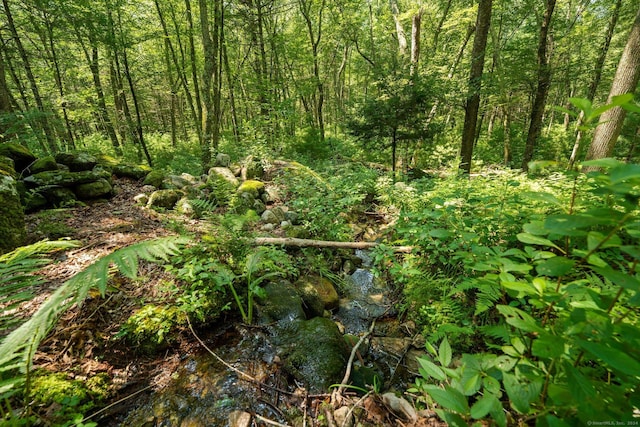 view of landscape featuring a view of trees